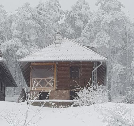 Apartmani Milojevic Divčibare Exteriör bild